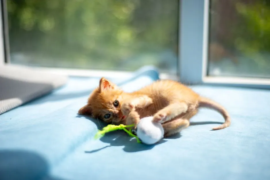 Best Cat Wand Toys: Durable Picks for Every Play Style