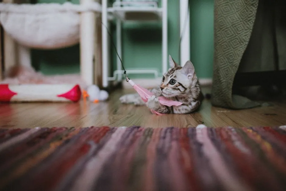 Catnip vs Silvervine: Which Works Better for Your Cat?